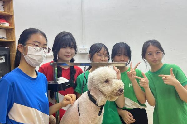 Job Tasting Program: Pet Grooming 