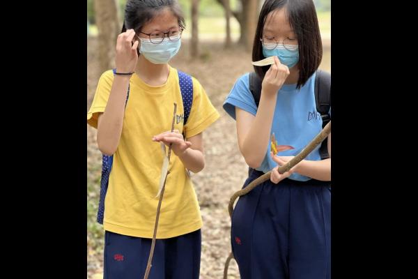 Nature Well-being Day 